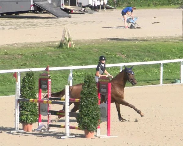 Reitturnier Bülach 2022