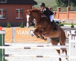 Zuchtstute Une Top D'Hoogpoort (Belgisches Warmblut, 2004, von Acorado I)