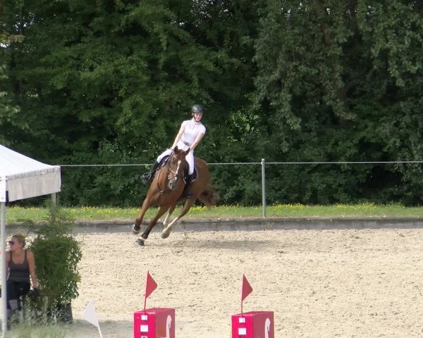 Reitturnier Maienfeld 2022