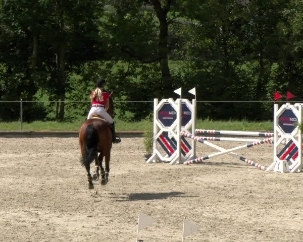 Reitturnier Maienfeld 2022