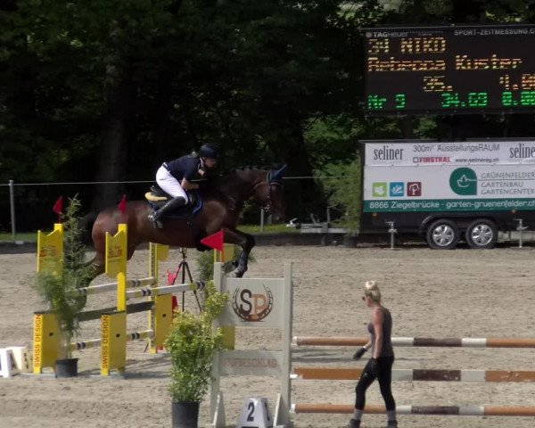 Reitturnier Maienfeld 2022