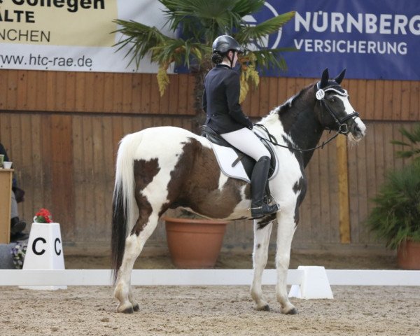 dressage horse Fabiano 70 (Polish Warmblood, 2001)