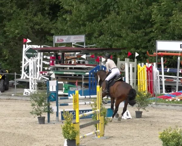 Reitturnier Maienfeld 2022