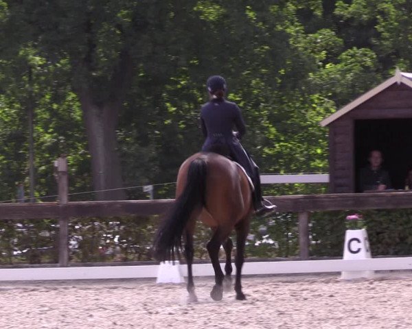 Reitturnier Müncheberg 2022