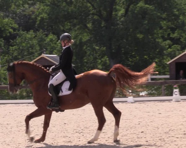 Reitturnier Müncheberg 2022