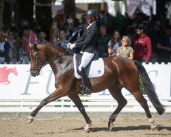 dressage horse Grand Petit de Carree (Oldenburg, 2016, from Grey Flanell)