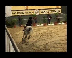 broodmare Kornfee 11 (German Sport Horse, 2004, from Kolibri 2705)