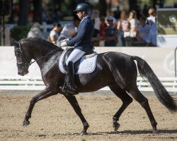 Deckhengst Fürst Knight Edi (Westfale, 2016, von Fürstenball)