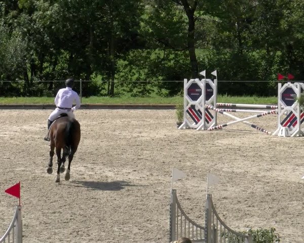 Reitturnier Maienfeld 2022