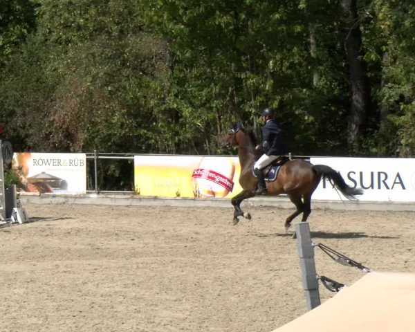 Reitturnier Maienfeld 2022