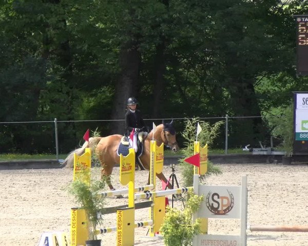 Reitturnier Maienfeld 2022