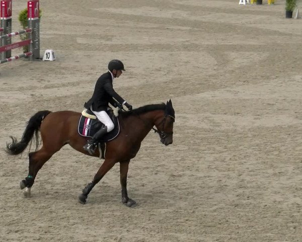 Reitturnier Maienfeld 2022