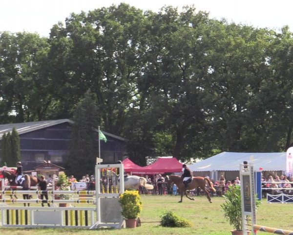 Reitturnier Hamburg-Bergstedt 2022