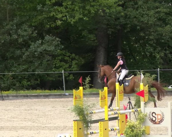 Reitturnier Maienfeld 2022