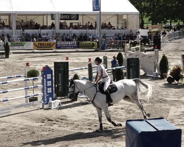 Reitturnier Humlikon 2022