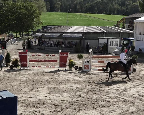 Reitturnier Humlikon 2022