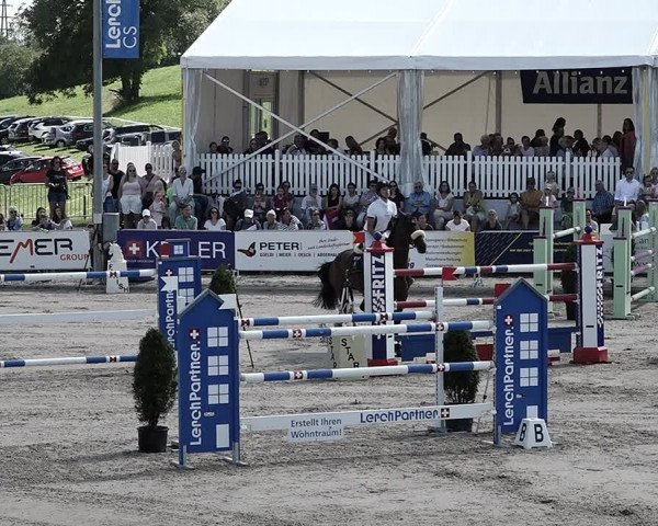 Reitturnier Humlikon 2022
