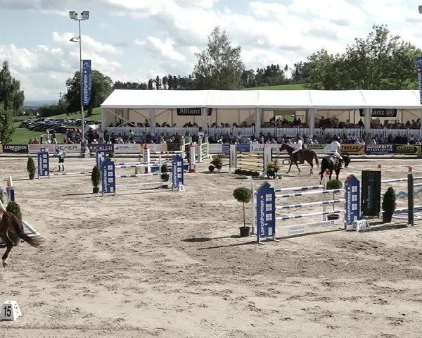 Reitturnier Humlikon 2022
