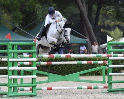 jumper Mistral vd Kakebeek (Belgian Warmblood, 2012, from Zilverstar T)