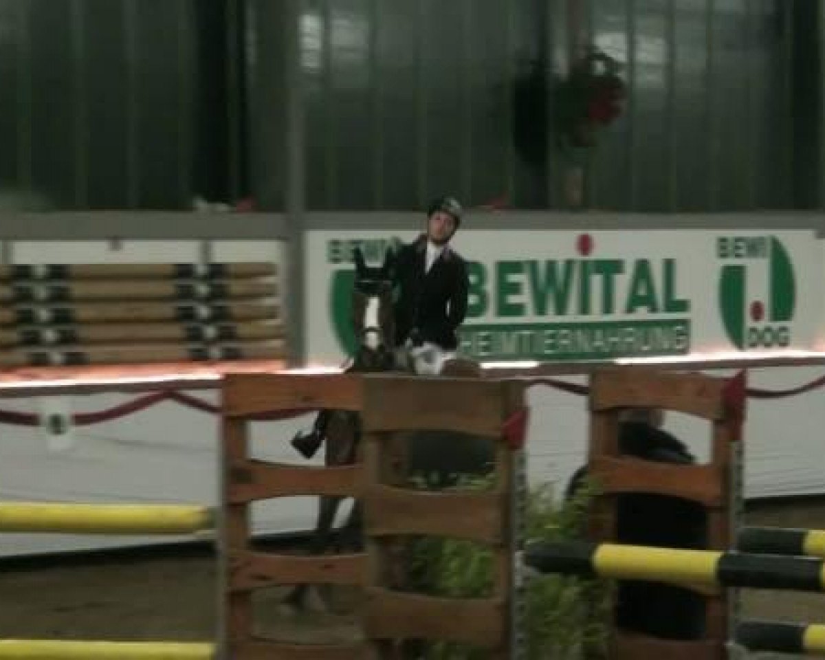 Springpferd Sapalotti (Oldenburger, 2002, von Santander H) - Hallenturnier beim RFV Südlohn-Oeding e.V. 03.12.2011
24 Springprüfung Kl M**
