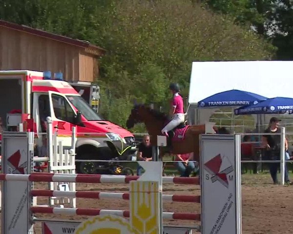 Reitturnier Demantsfürth 2022