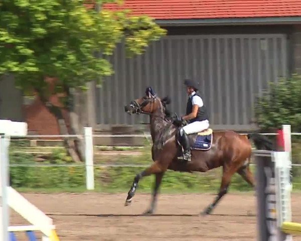 Reitturnier Demantsfürth 2022