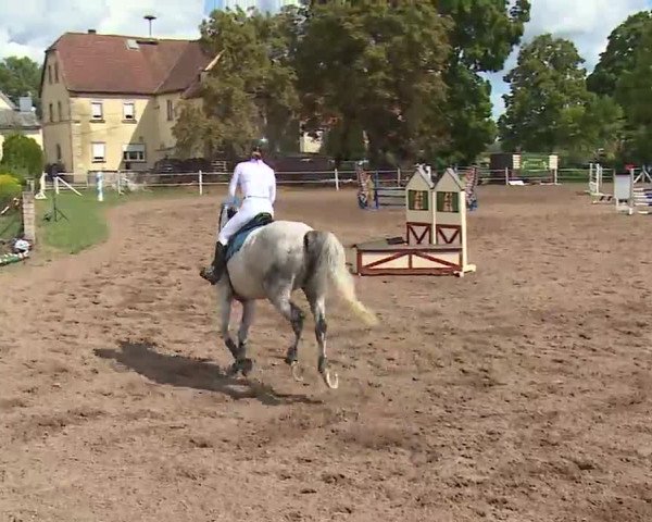 Reitturnier Demantsfürth 2022