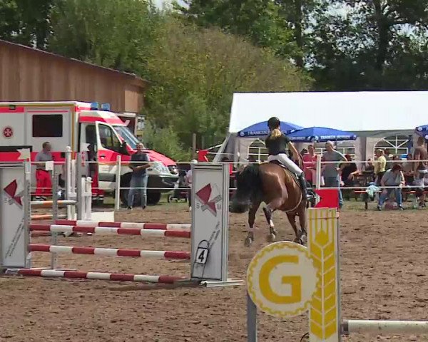 Reitturnier Demantsfürth 2022