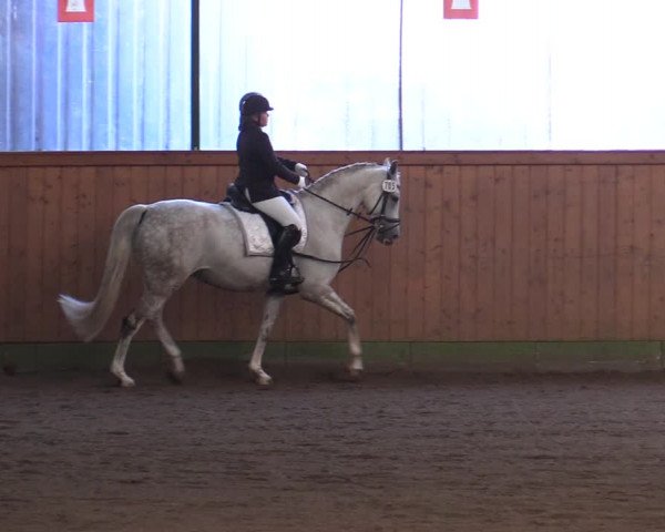 Reitturnier Hamburg-Bergstedt 2022