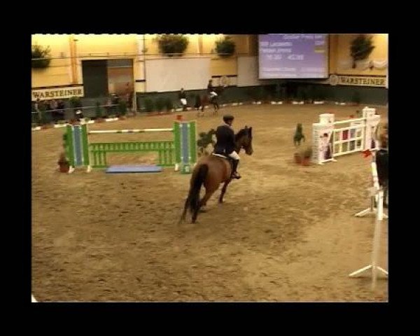 jumper Lacaletto (Holsteiner, 1999, from Latus II)