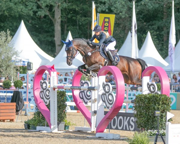 jumper CINDERELLA (Oldenburg show jumper, 2016, from Casallco)