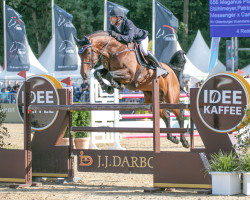 stallion Meganus PS (Oldenburg show jumper, 2016, from Messenger)