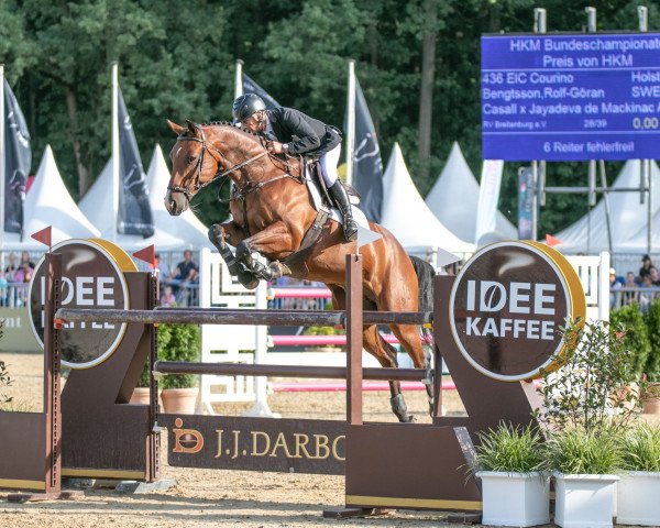 Springpferd EIC Courino (Holsteiner, 2016, von Casall Ask) Springpferd EIC Courino (Holsteiner, 2016, von Casall Ask)