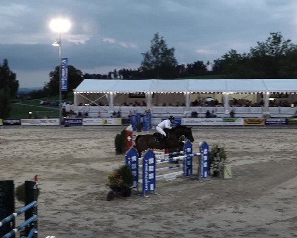 Reitturnier Humlikon 2022