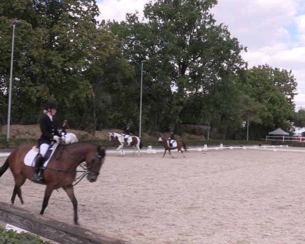 Reitturnier Müncheberg 2022