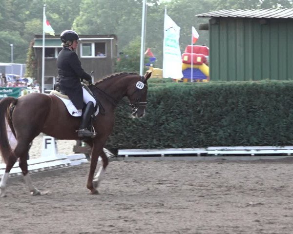 Reitturnier Hamburg-Bergstedt 2022
