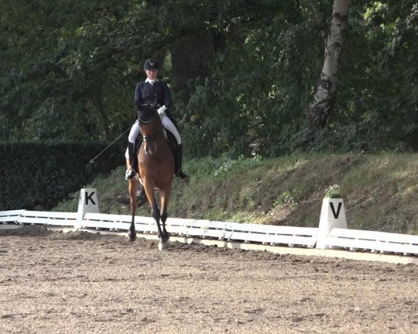Reitturnier Hamburg-Bergstedt 2022