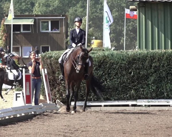 Reitturnier Hamburg-Bergstedt 2022