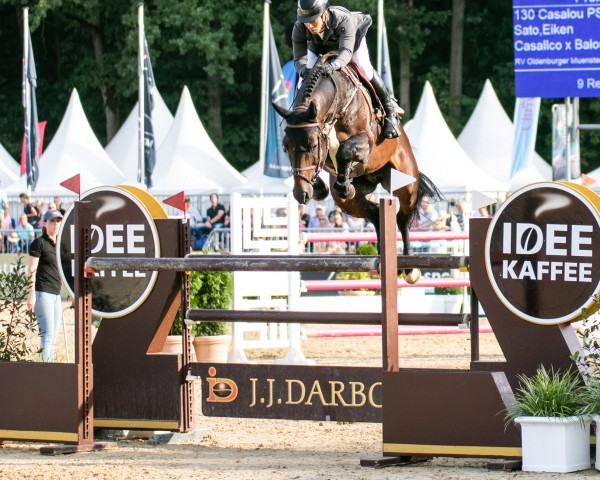 stallion Casalou PS OLD (Oldenburg show jumper, 2016, from Casallco)