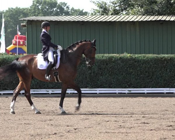 Reitturnier Hamburg-Bergstedt 2022