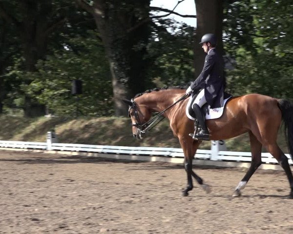 Reitturnier Hamburg-Bergstedt 2022