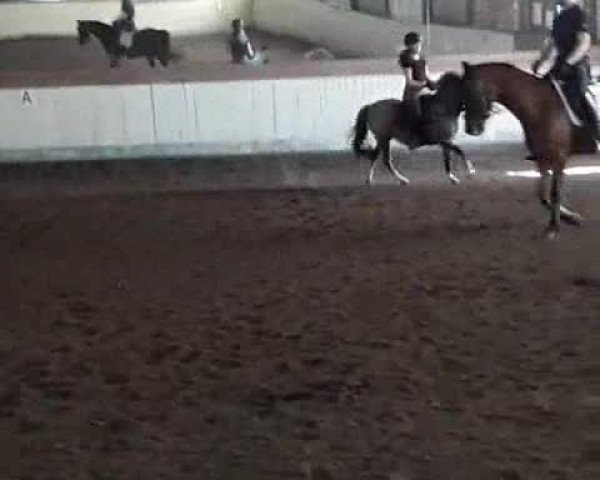 Video von Sidney 179