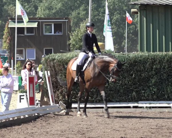 Reitturnier Hamburg-Bergstedt 2022