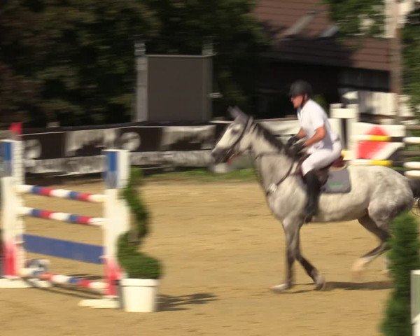 Reitturnier Vlotho-Valdorf 2022