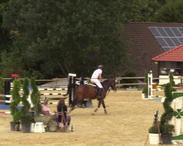 Reitturnier Vlotho-Valdorf 2022