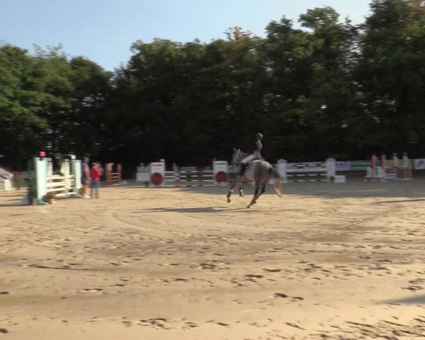 Reitturnier Meinerzhagen 2022