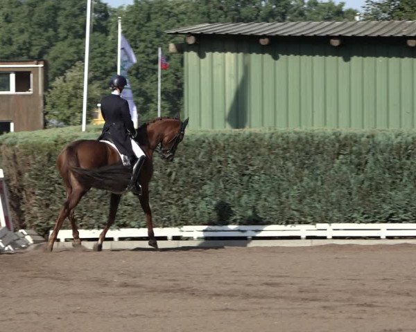 Reitturnier Hamburg-Bergstedt 2022