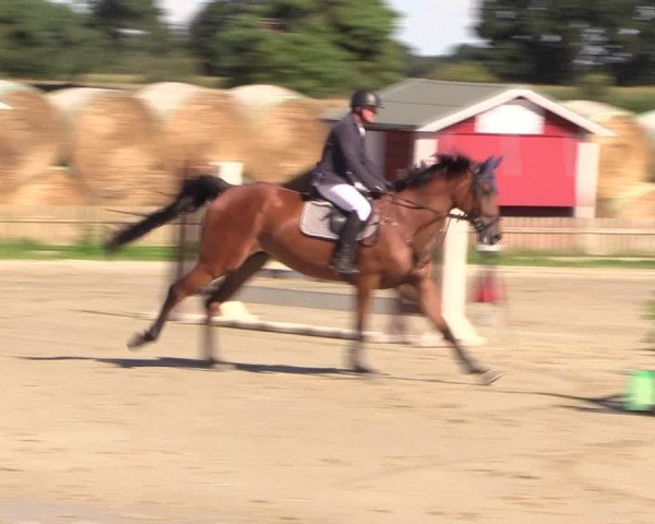 Reitturnier Schülp / Rendsburg 2022