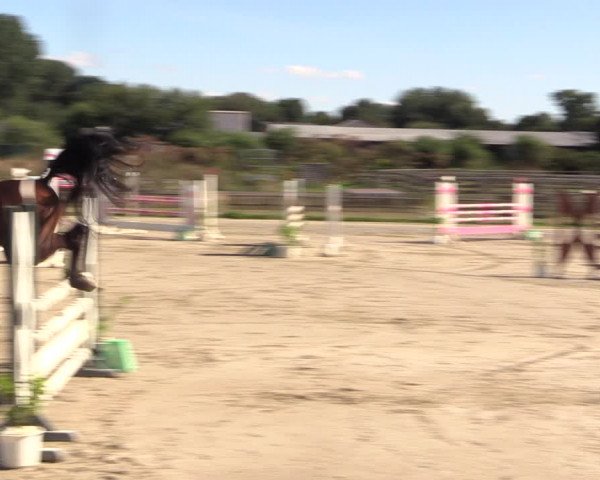 Reitturnier Schülp / Rendsburg 2022