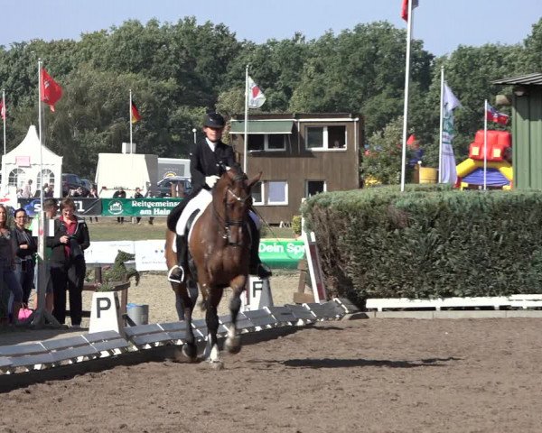 Reitturnier Hamburg-Bergstedt 2022